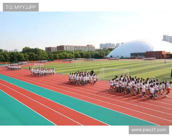 南京飞盘队的耐力革命引发热议运动新风潮与团队精神的完美结合