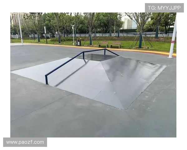 西安滑板队在世界滑板锦标赛中的表现与经验总结分析