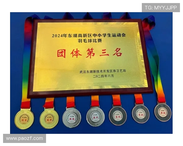 西安羽毛球队荣登全国团队协作排行榜第十名展现卓越实力与团结精神