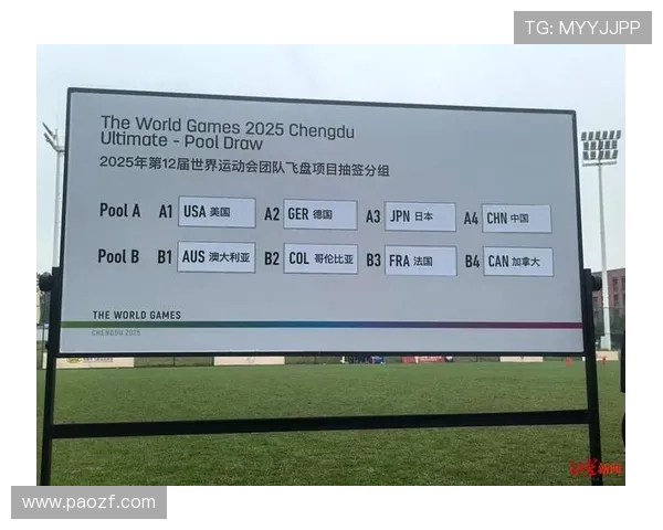 成都飞盘队与上海飞盘队赛后战术分析与总结探讨